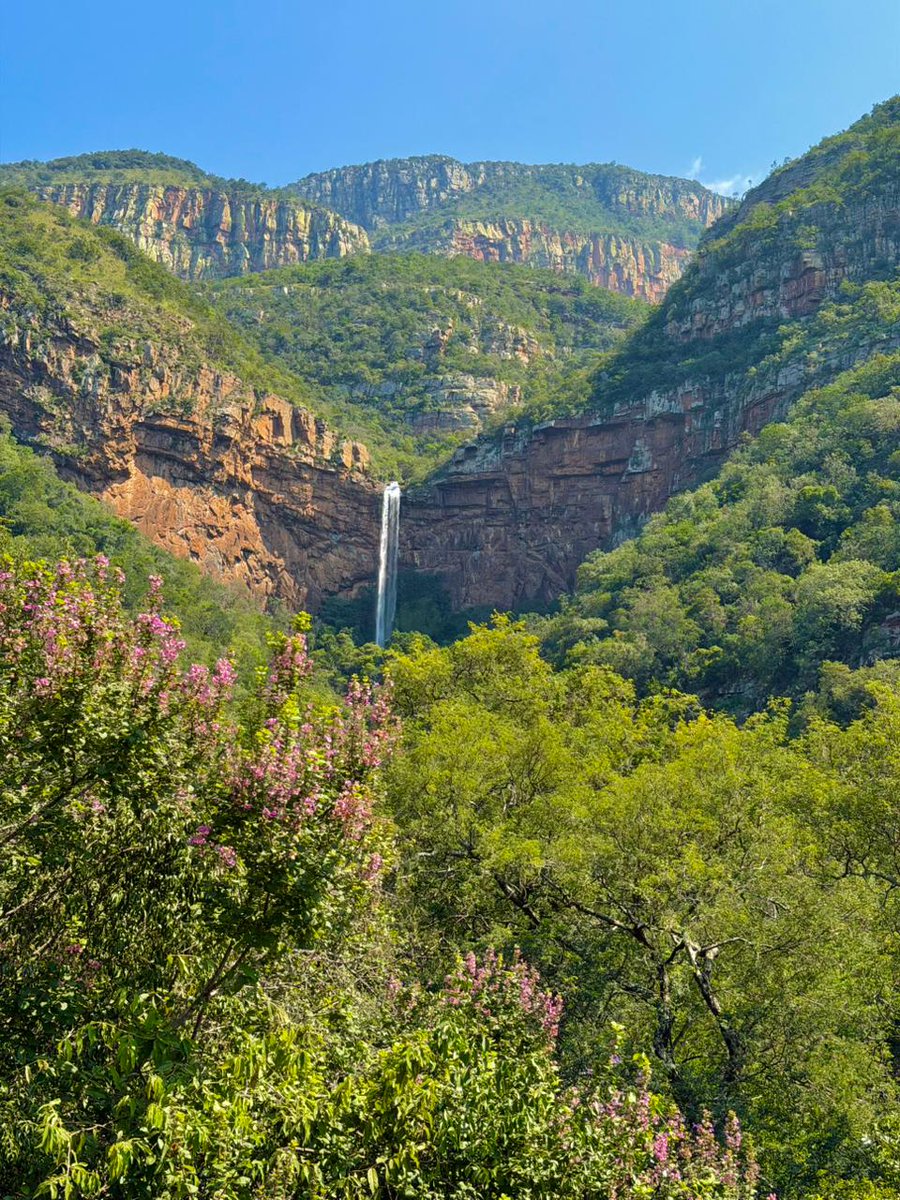 Swadini, A Forever Resort tweet media