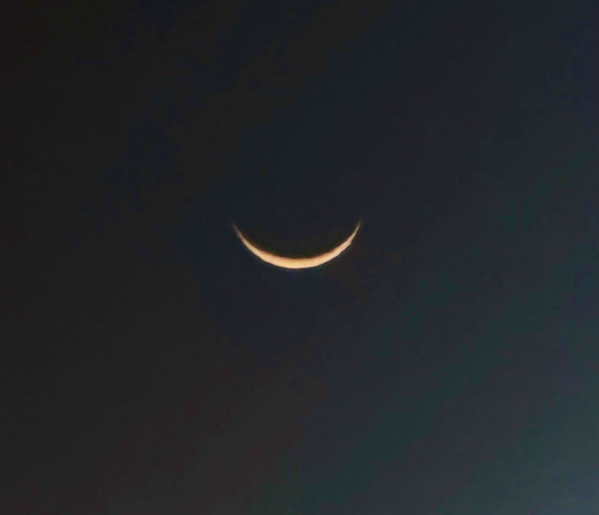 TOLAND VLOGのサム tweet media