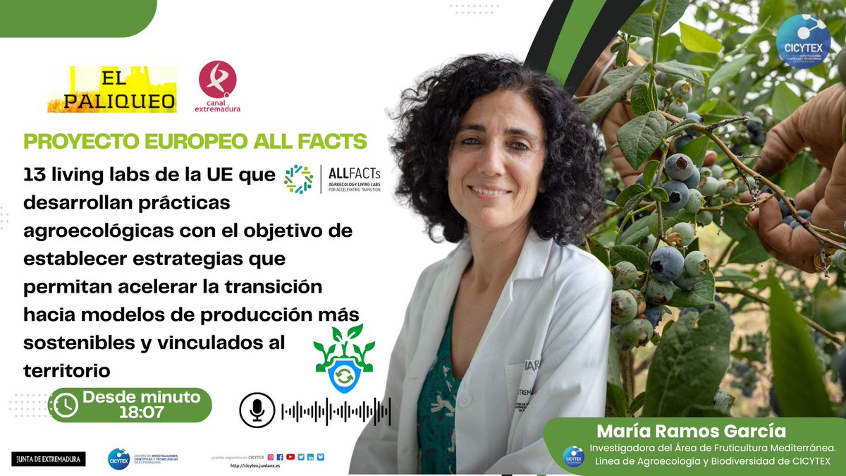 CICYTEX's tweet image. 📻 Escucha la entrevista q le han hecho los amigos de El Paliqueo de @cextremadura a nuestra investigadora 👩‍🔬Mª Ramos sobre el Proyecto #ALLFACTs👨‍🌾 
⏯️Si quieres conocer un poco mejor este interesante proyecto sobre #agroecología, dale al play canalextremadura.app/videos/343291-…