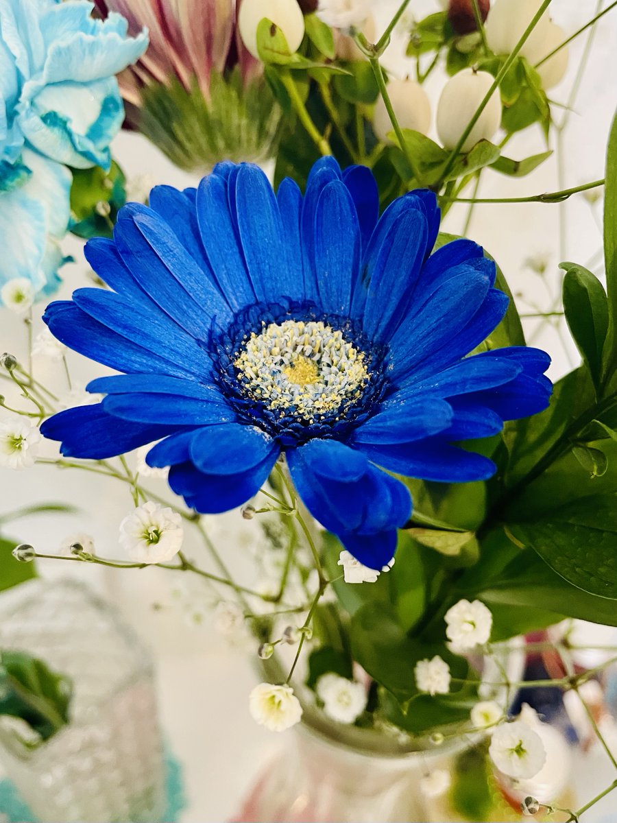 株式会社青葉🍀 tweet media