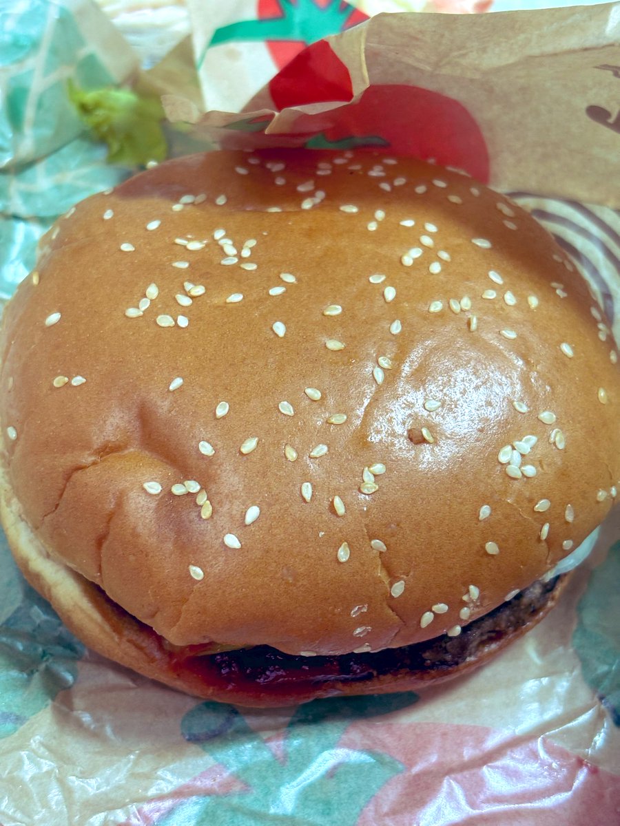 キソウ🌱 tweet media