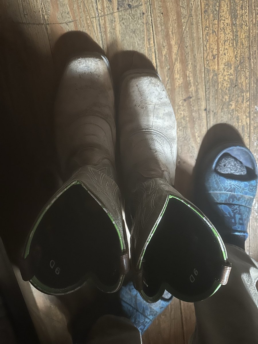 bamaboyXRP tweet media