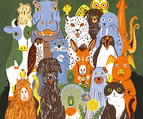 우아한 tweet media