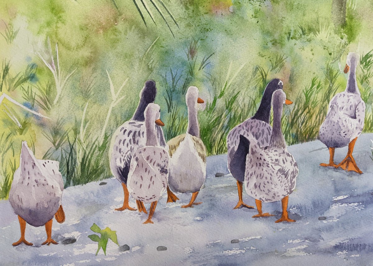 湧(わい)透明水彩 tweet media