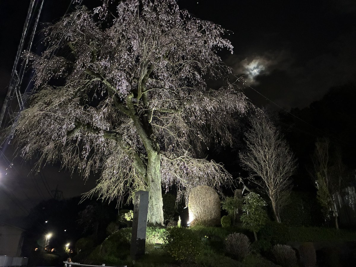 𝑻𝒂𝒌@𝑼𝒃𝒆𝒓 tweet media