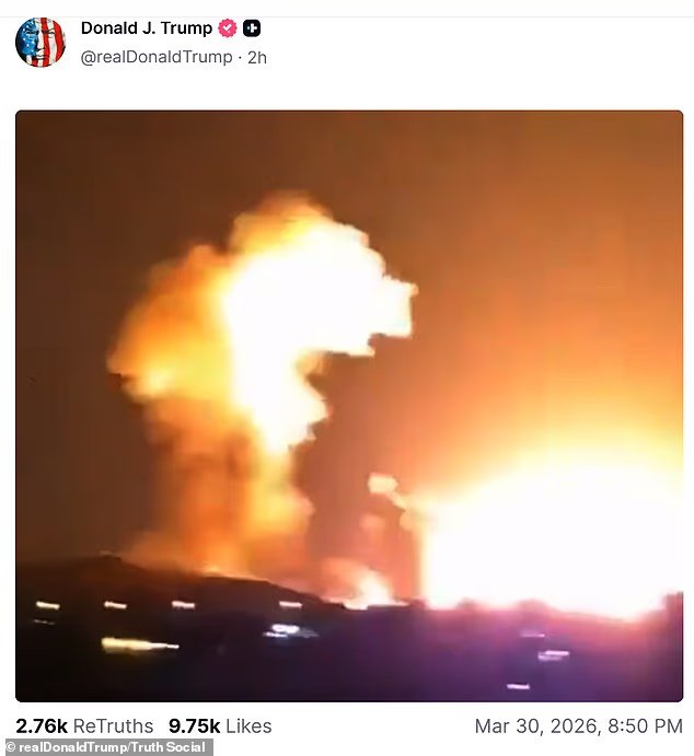 The Hawk 🇵🇱🇨🇦 tweet media