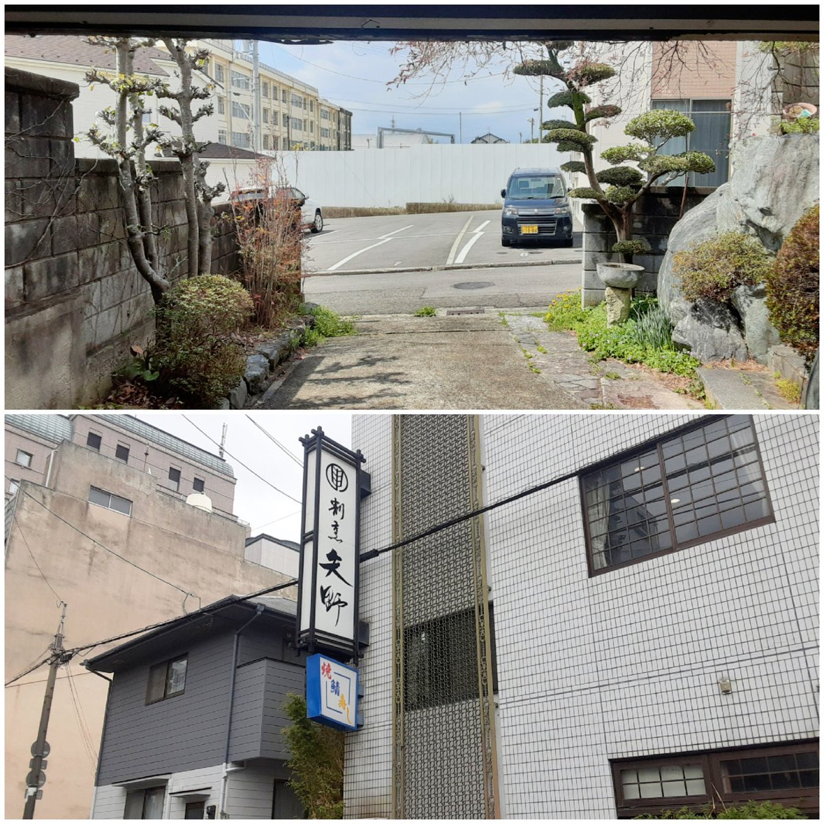 にゃんこ先生 tweet media