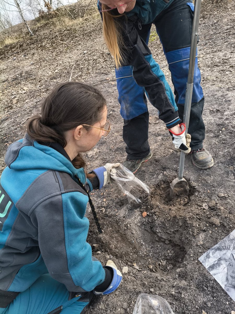 REECOL_project's tweet photo. In #REECOL, #soilSampling is carried out to #monitor #rehabilitation progress on #postmining areas and assess the impact of solutions and processes (developed in the project) applied there.   
See VUHU's work on their study plots - https://t.co/JOoHjADcOz
@VUHU_Most https://t.co/KdDMmjnlRB