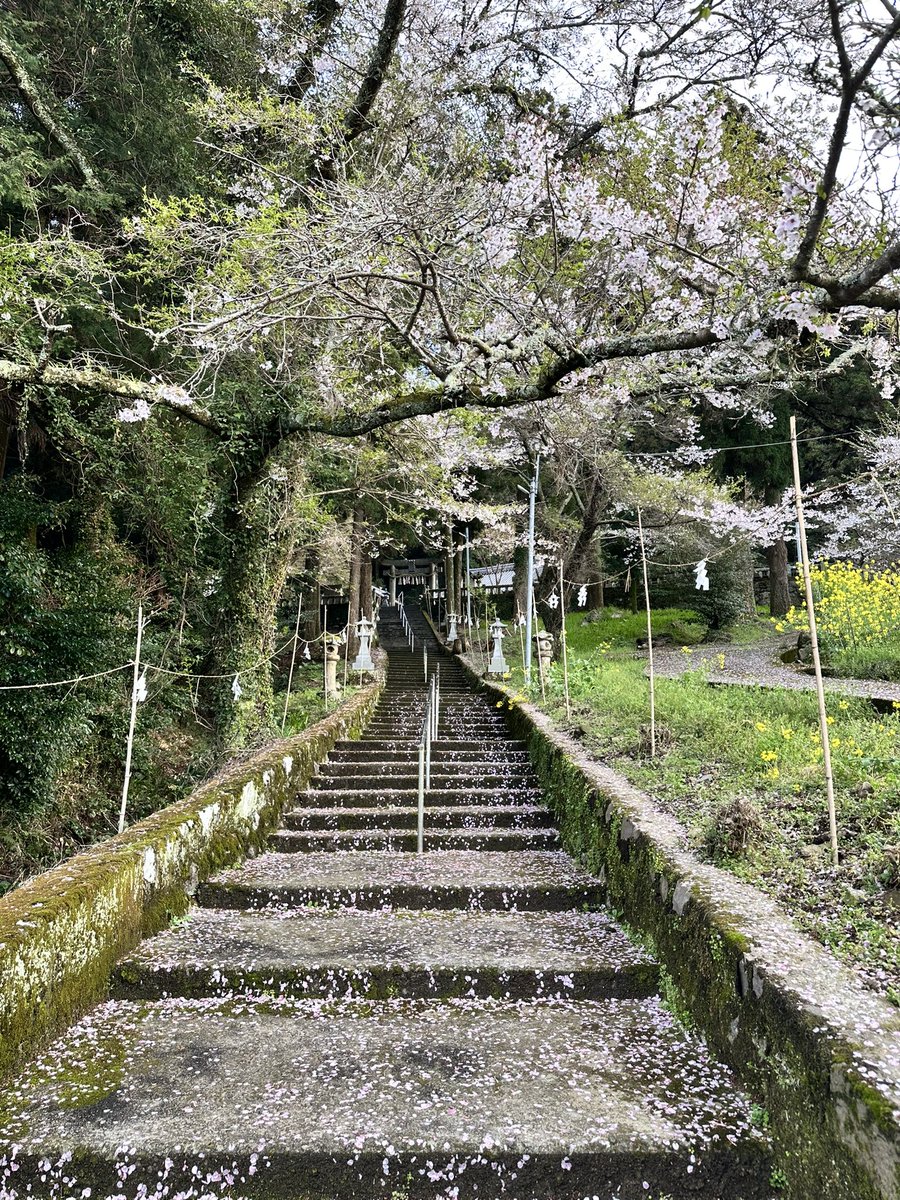 Hide motorcycle touring club tweet media