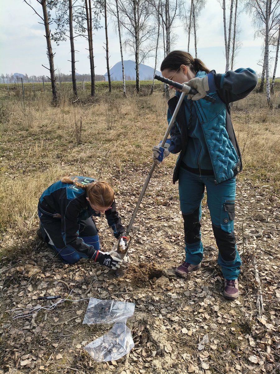 REECOL_project's tweet photo. In #REECOL, #soilSampling is carried out to #monitor #rehabilitation progress on #postmining areas and assess the impact of solutions and processes (developed in the project) applied there.   
See VUHU's work on their study plots - https://t.co/JOoHjADcOz
@VUHU_Most https://t.co/KdDMmjnlRB