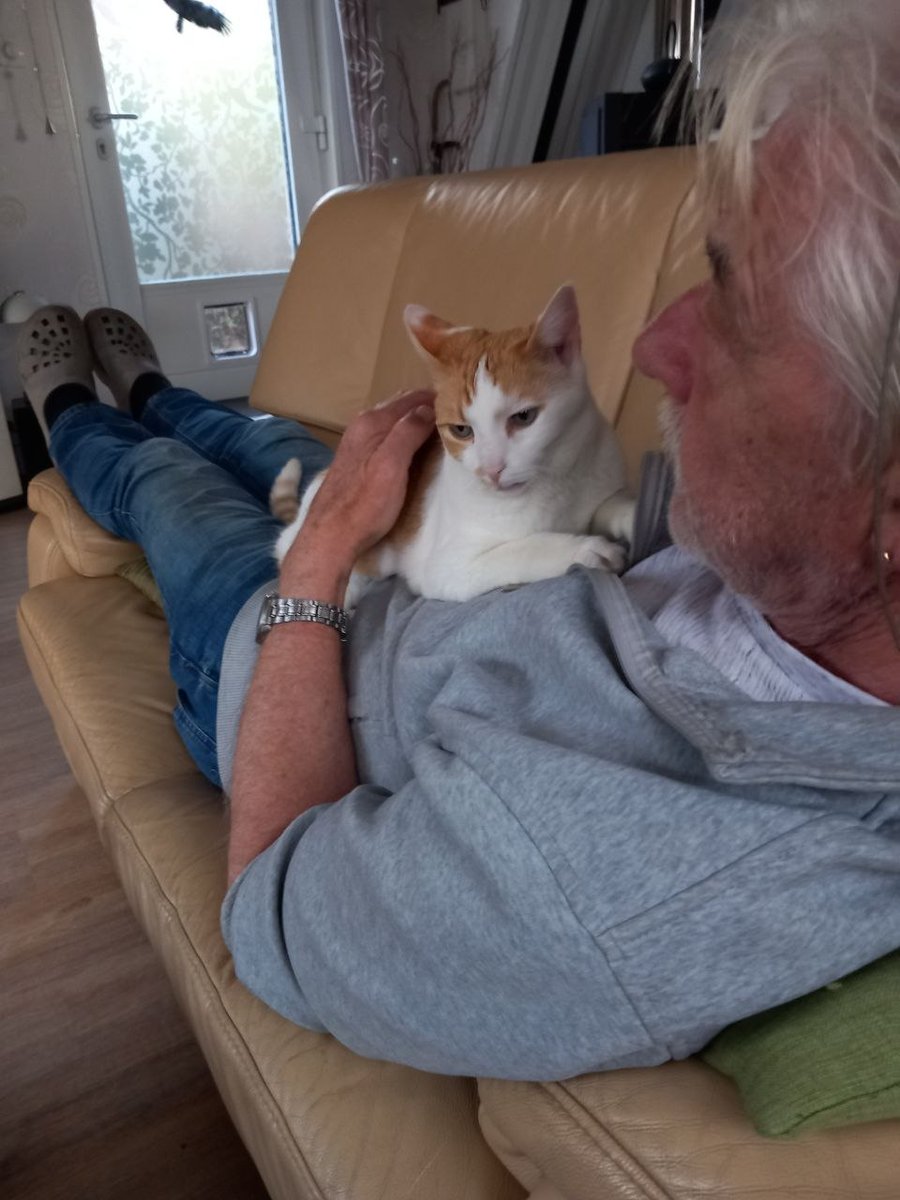 Klar Name tweet media