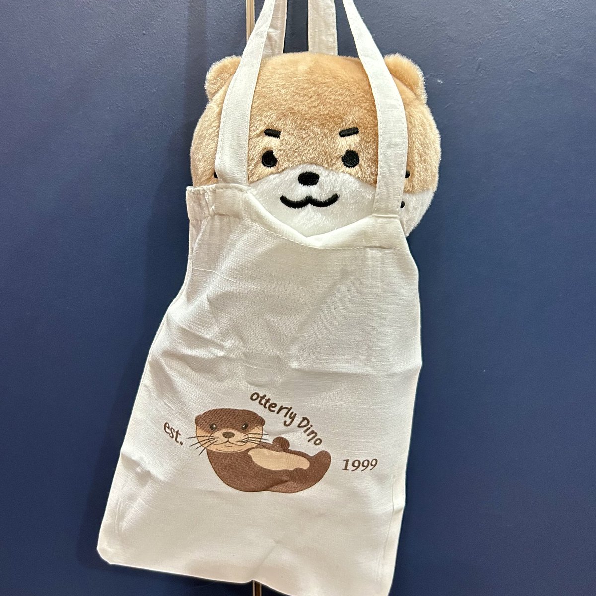 .•*• dory •*•. tweet media