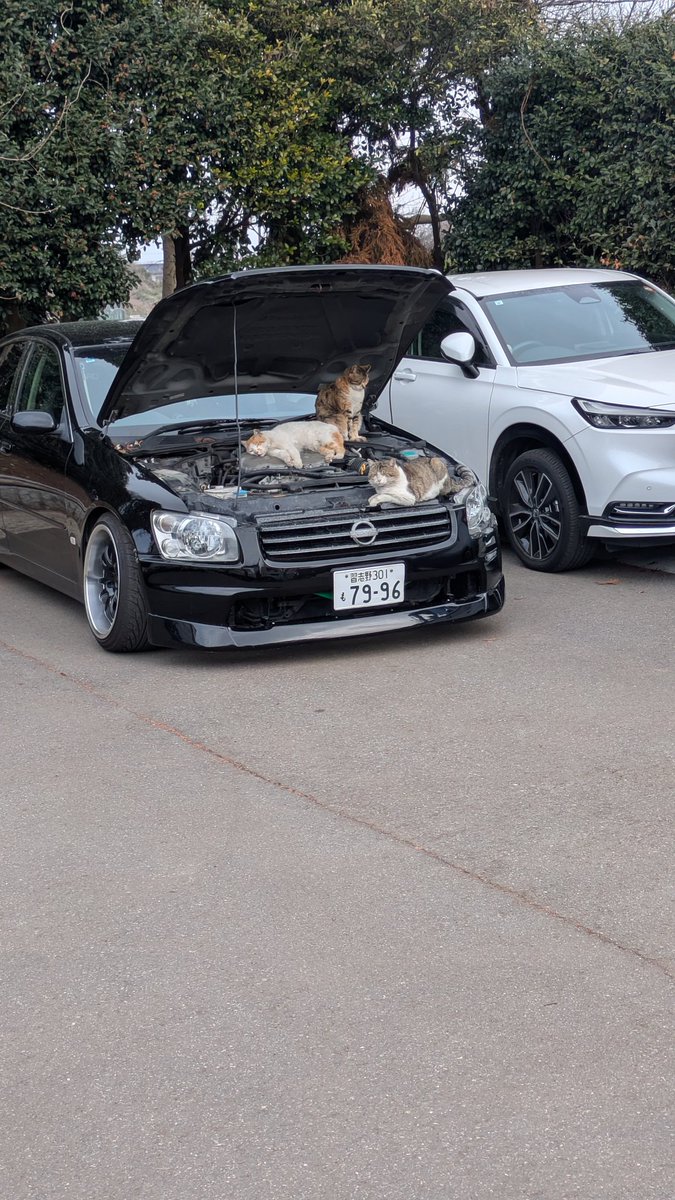 えびはら tweet media