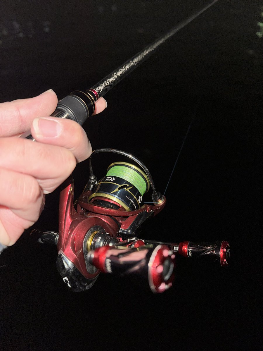 Keiの暇潰し tweet media