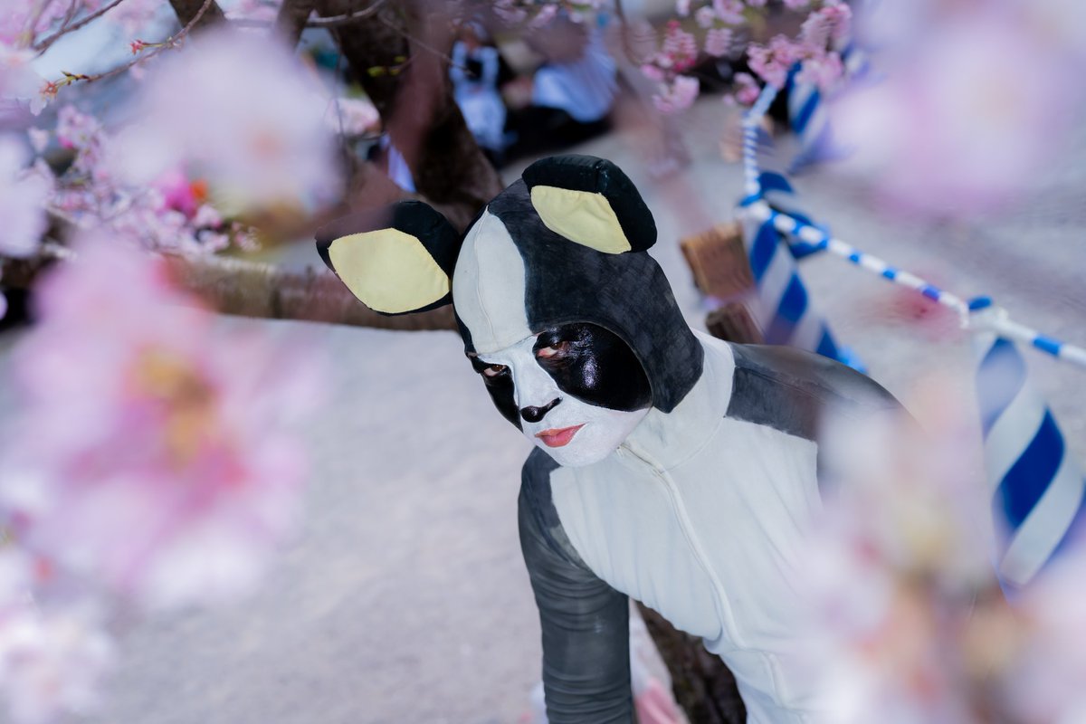 たか@ノンタウン、銀ぶら tweet media