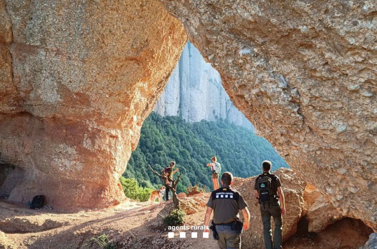 Agents Rurals tweet media