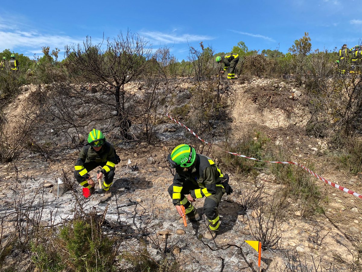 Agents Rurals tweet media