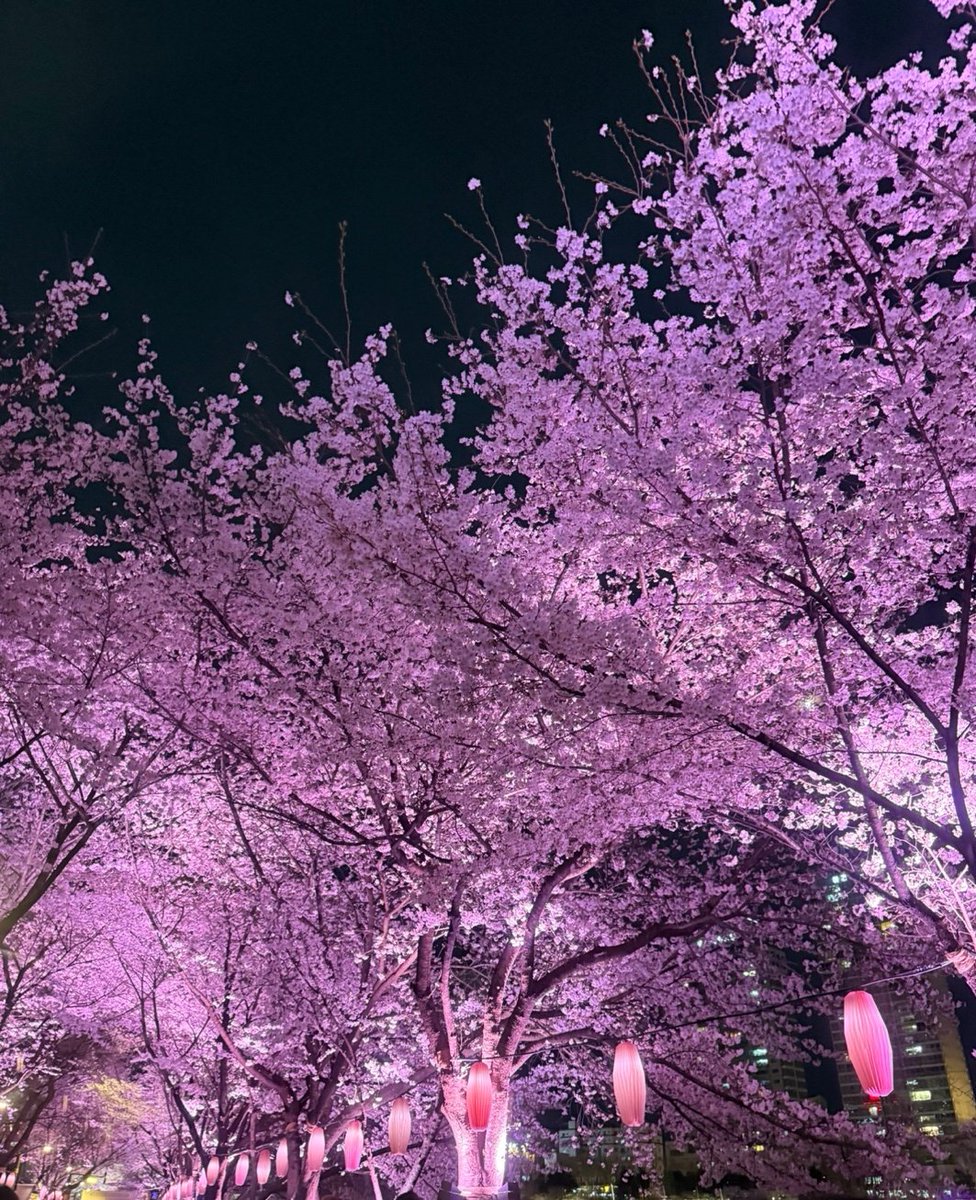 𐔌 .쵸로록: ഒ tweet media