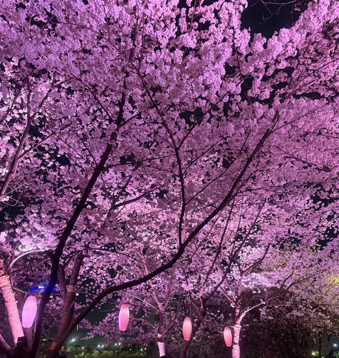 𐔌 .쵸로록: ഒ tweet media