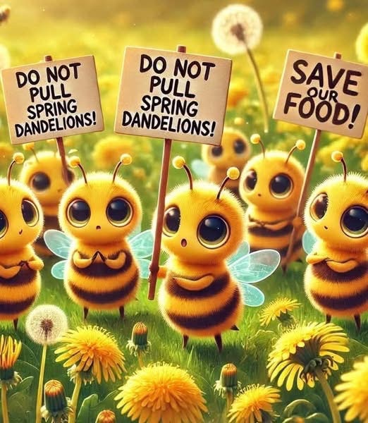 0️⃣BlackBetty ⚓️ tweet media