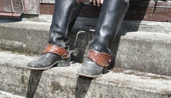 フランク斎藤 tweet media