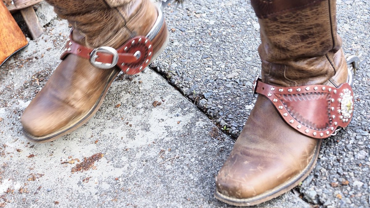 フランク斎藤 tweet media