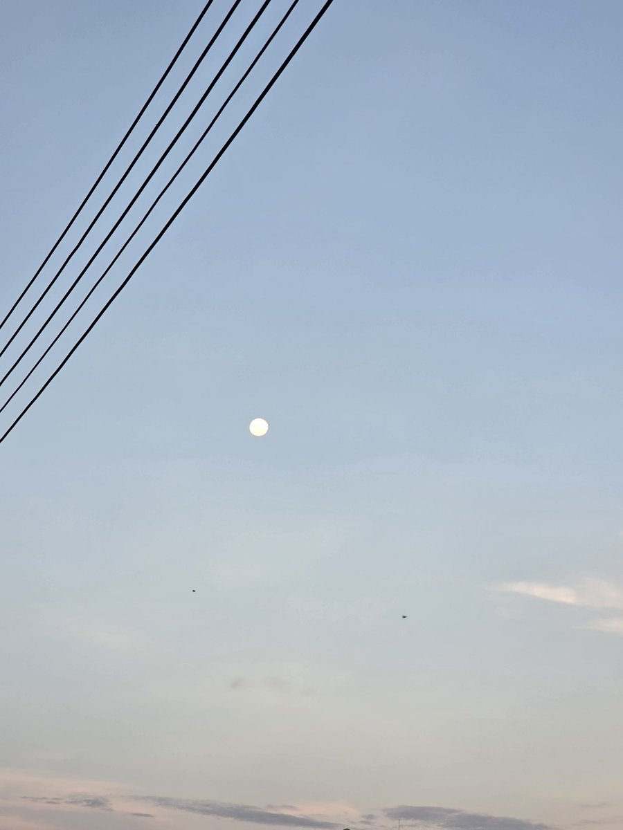 ࿐ཉི༗࿆ 奥丁༗࿆ཉི࿐ tweet media