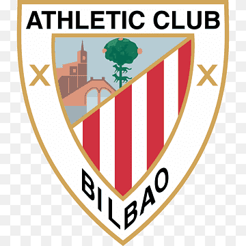 Blanco Fácil 🌲 tweet media