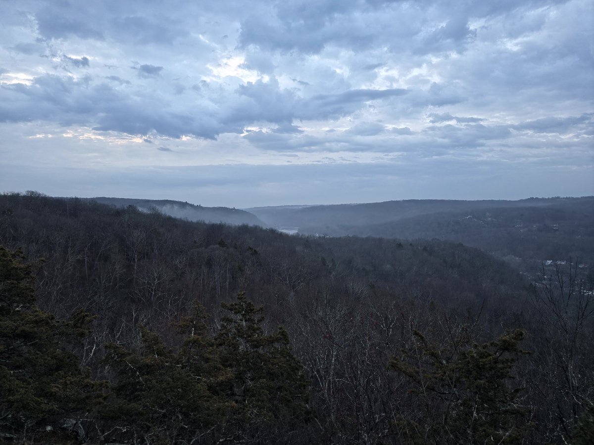 Stinky Caveman tweet media