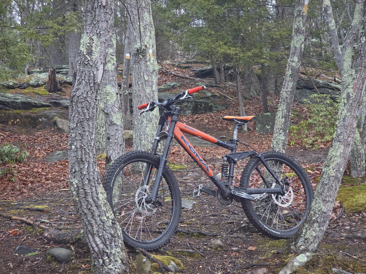 Stinky Caveman tweet media