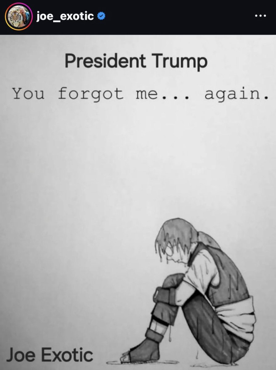 Trotskky🐰⭐️🇵🇸🇱🇧 tweet media