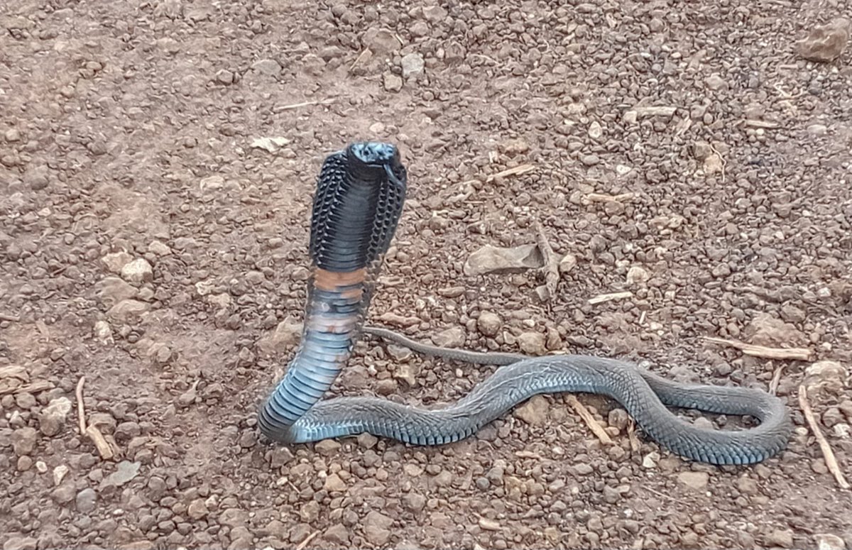 Mr.Reliable tweet media