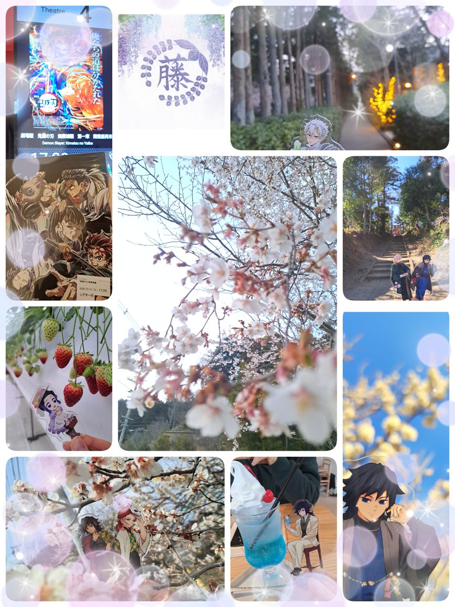 サクラ(❤、返事🐌&🐢並みに遅くなります💦) tweet media