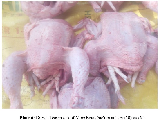 Federal Ministry of Livestock Development tweet media