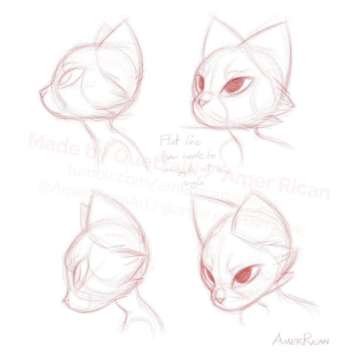 Quetzalli tweet media