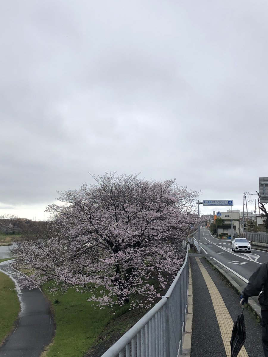 detective tweet media