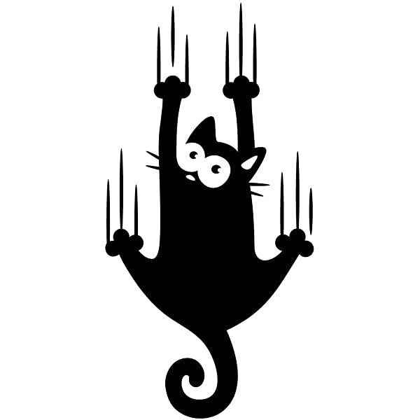 Pinellus  tweet media