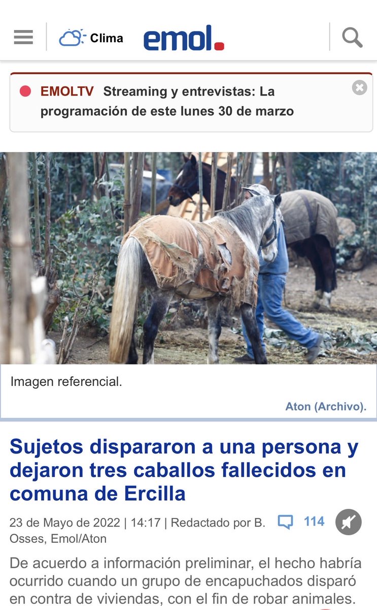 Gaston Irigoin tweet media