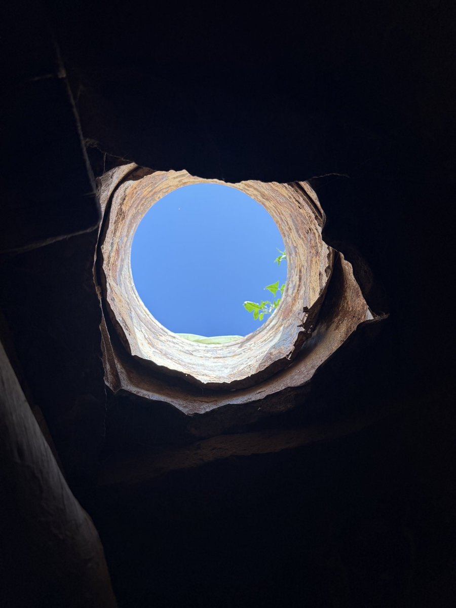 Nour Oumousse - ⵏⵓⵔ tweet media