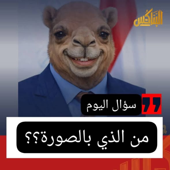 مها البحيري tweet media
