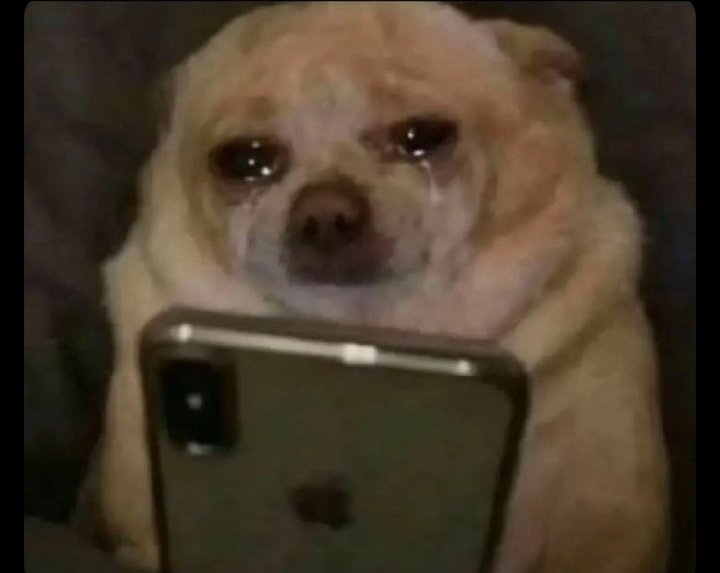 osas.igho tweet media