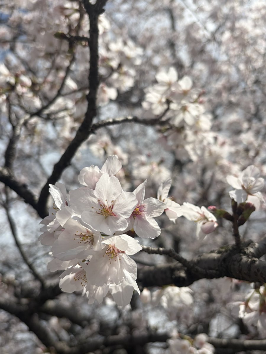 🧡🐨Na🐨🧡 tweet media