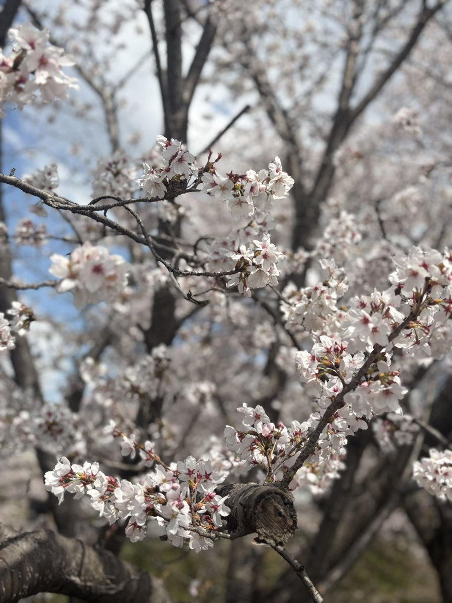 🧡🐨Na🐨🧡 tweet media