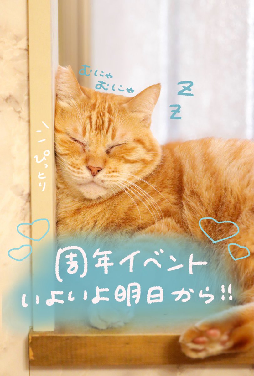 ヴィラ・ウリエル tweet media