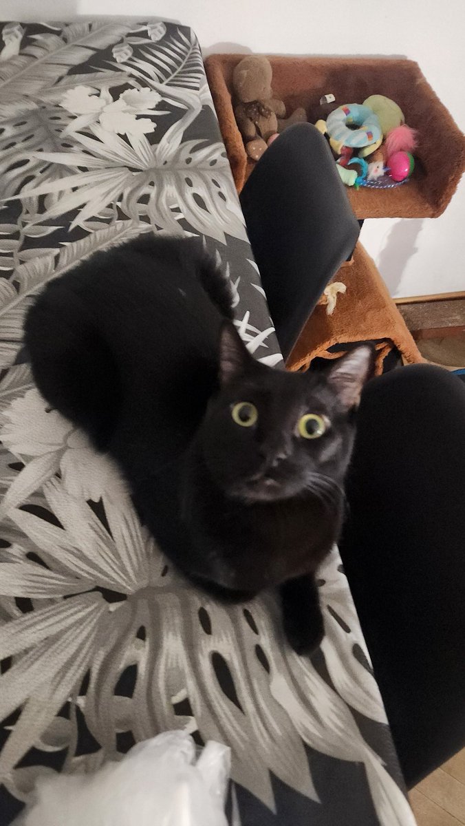 Galen Erso tweet media