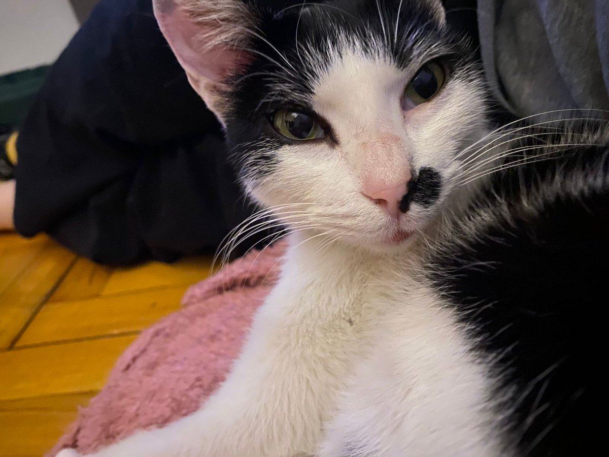 Galen Erso tweet media