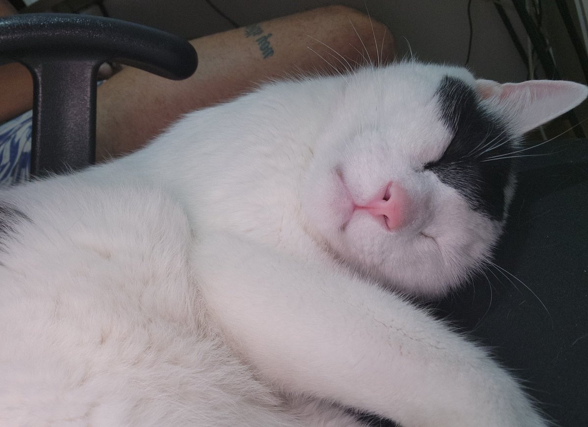 Galen Erso tweet media