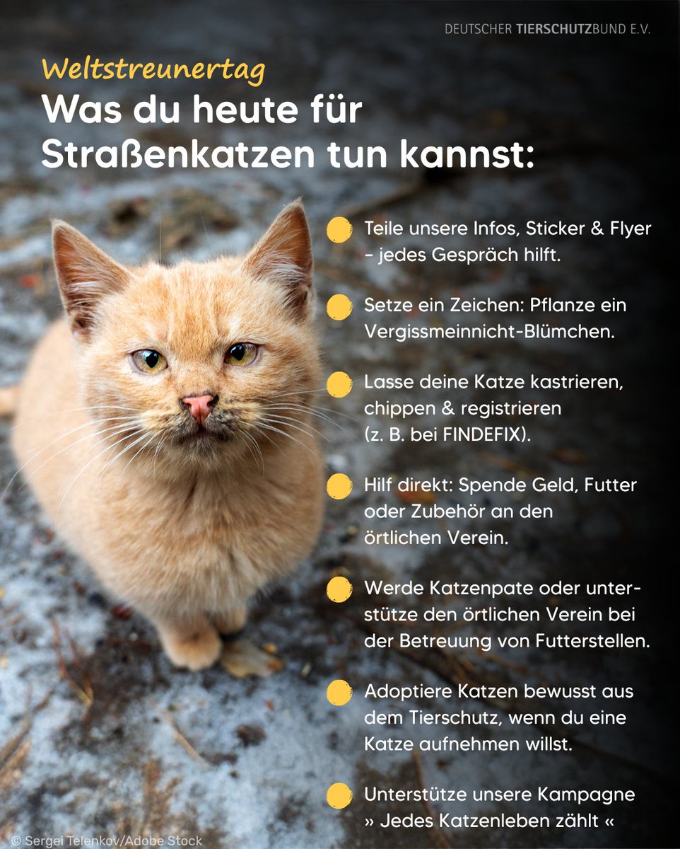 Tierschutzbund tweet media