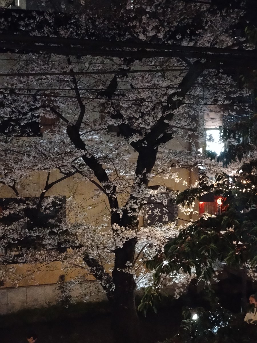 V ZONE＠週末スタッフ募集中 tweet media