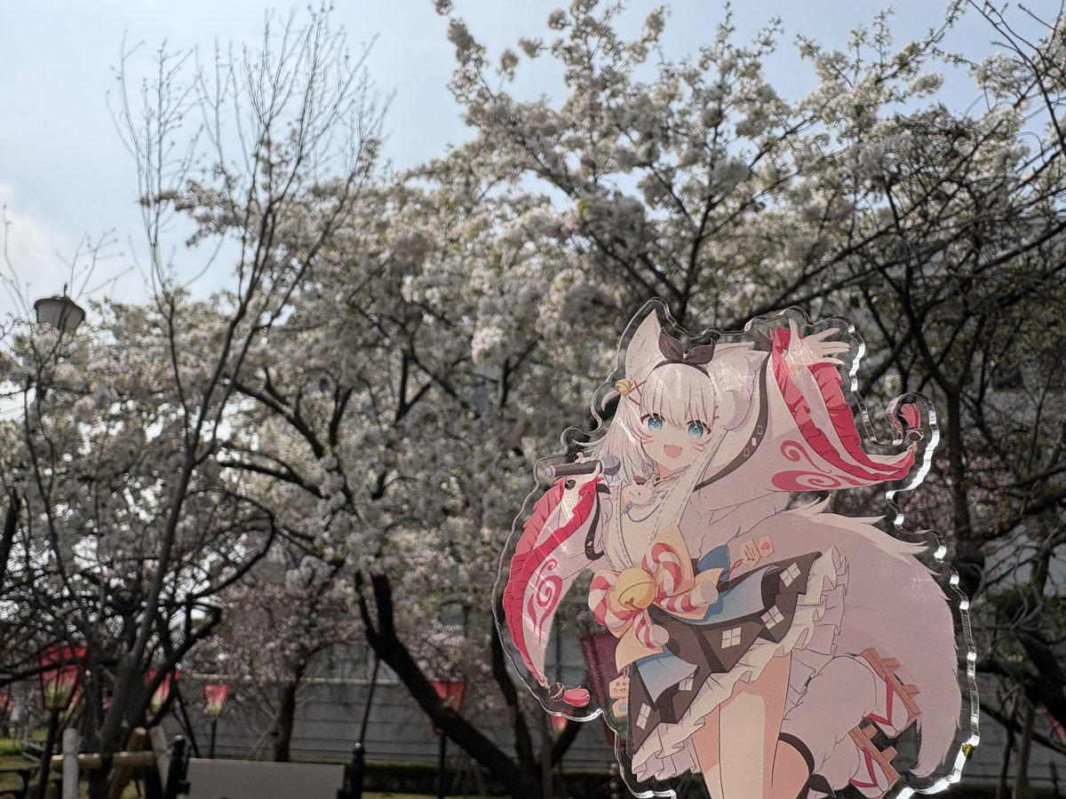 かつひと tweet media